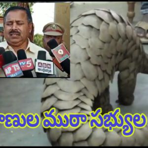 వన్యప్రాణుల ముఠా సభ్యుల అరెస్టు