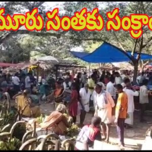 Live బుడుమూరు సంతకు సంక్రాంతి కళ