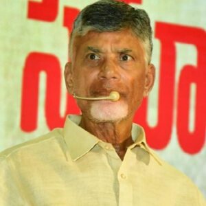 నెల్లూరుకు టీడీపీ అధినేత చంద్రబాబు…!