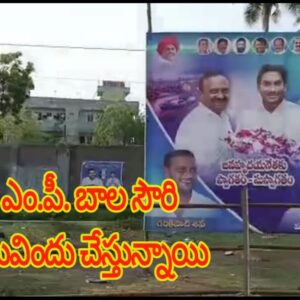 పోటీగా ఎం.పీ. బాల సౌరిప్లెక్సీలుకనువిందు చేస్తున్నాయి