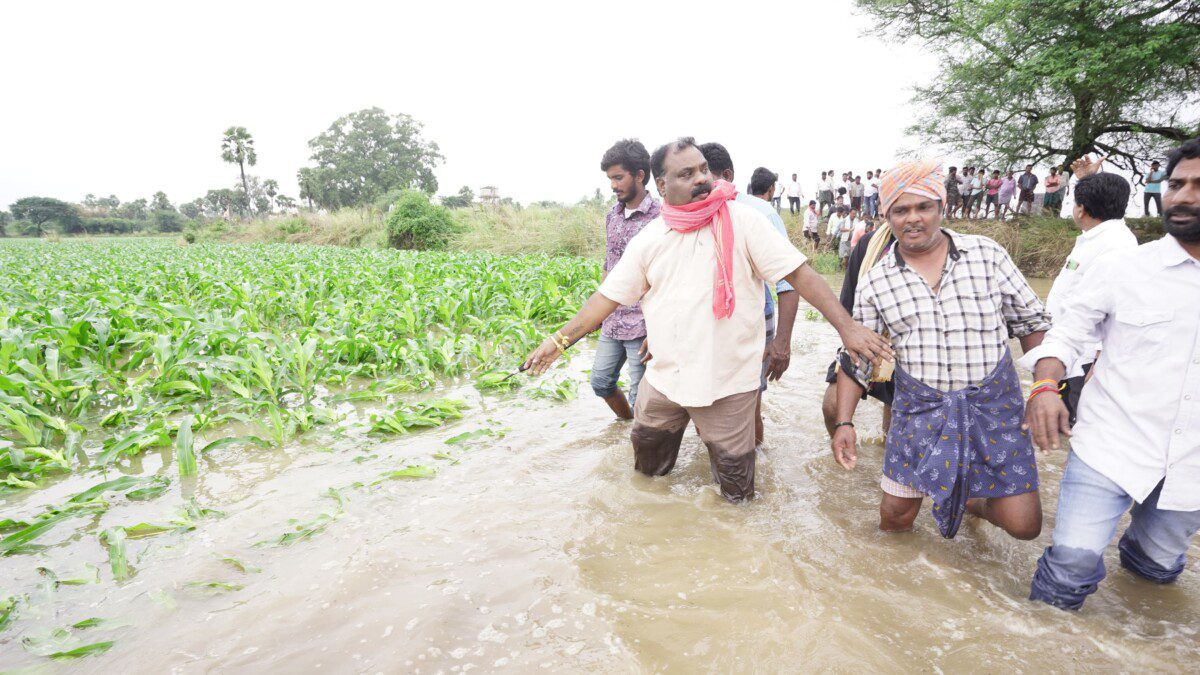 రైతులను నిండా ముంచేసిన మిచౌంగ్ తుపాను