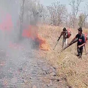 నల్లమల అడవిలో భారీ అగ్నిప్రమాదం