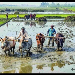 అకౌంట్లలోకి డబ్బులు