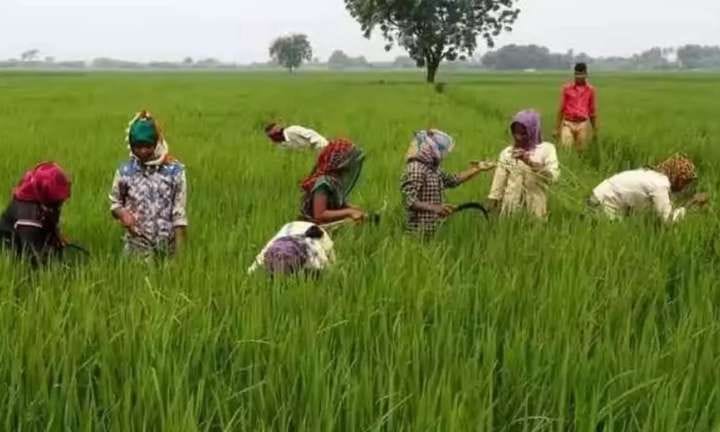 రైతుల ఖాతాల్లో రైతుభరోసా నిధుల జమకు డేట్‌ ఫిక్స్!!