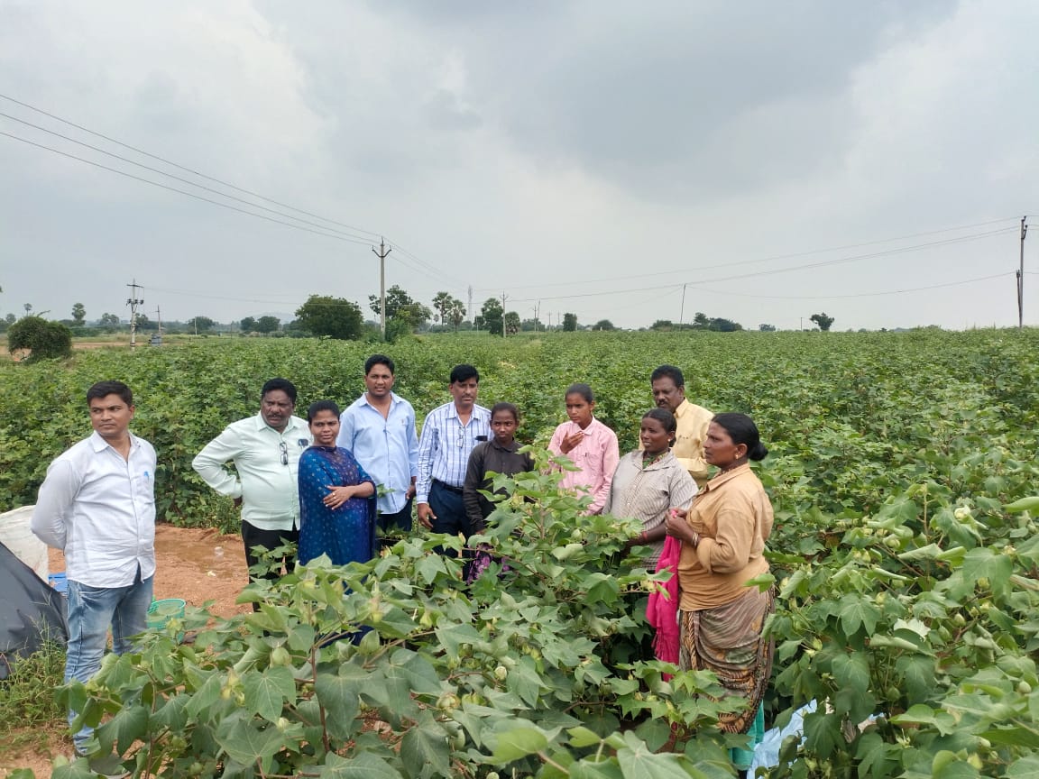 జిల్లా కలెక్టర్ ఆదేశాలతో బడి బయట పిల్లలు పాఠశాల లో చేరేలా ప్రత్యేక కార్యాచరణ