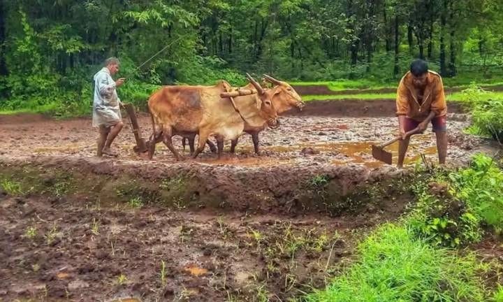 రైతులకు శుభవార్త.. అక్టోబర్‌ 5న పీఎం కిసాన్‌ నగదు జమ