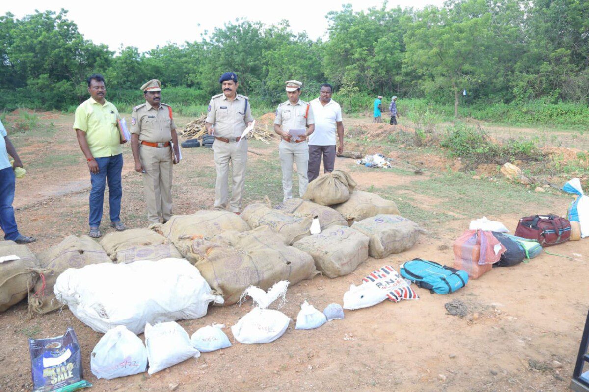 ఖమ్మం కమిషనరేట్లో పట్టుబడిన 624 కిలోల గంజాయి దహనం