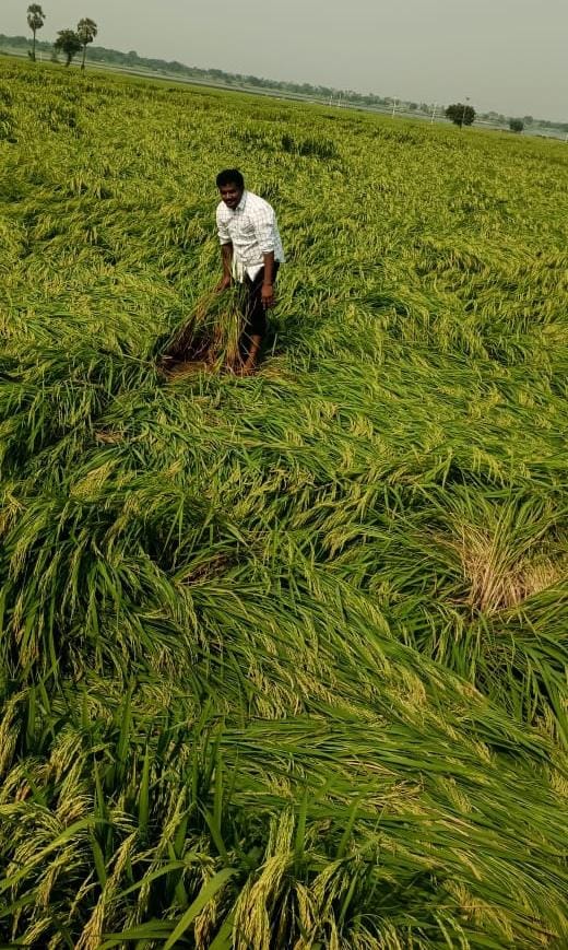 ఖరీఫ్ ఆశలు ఆవిరి