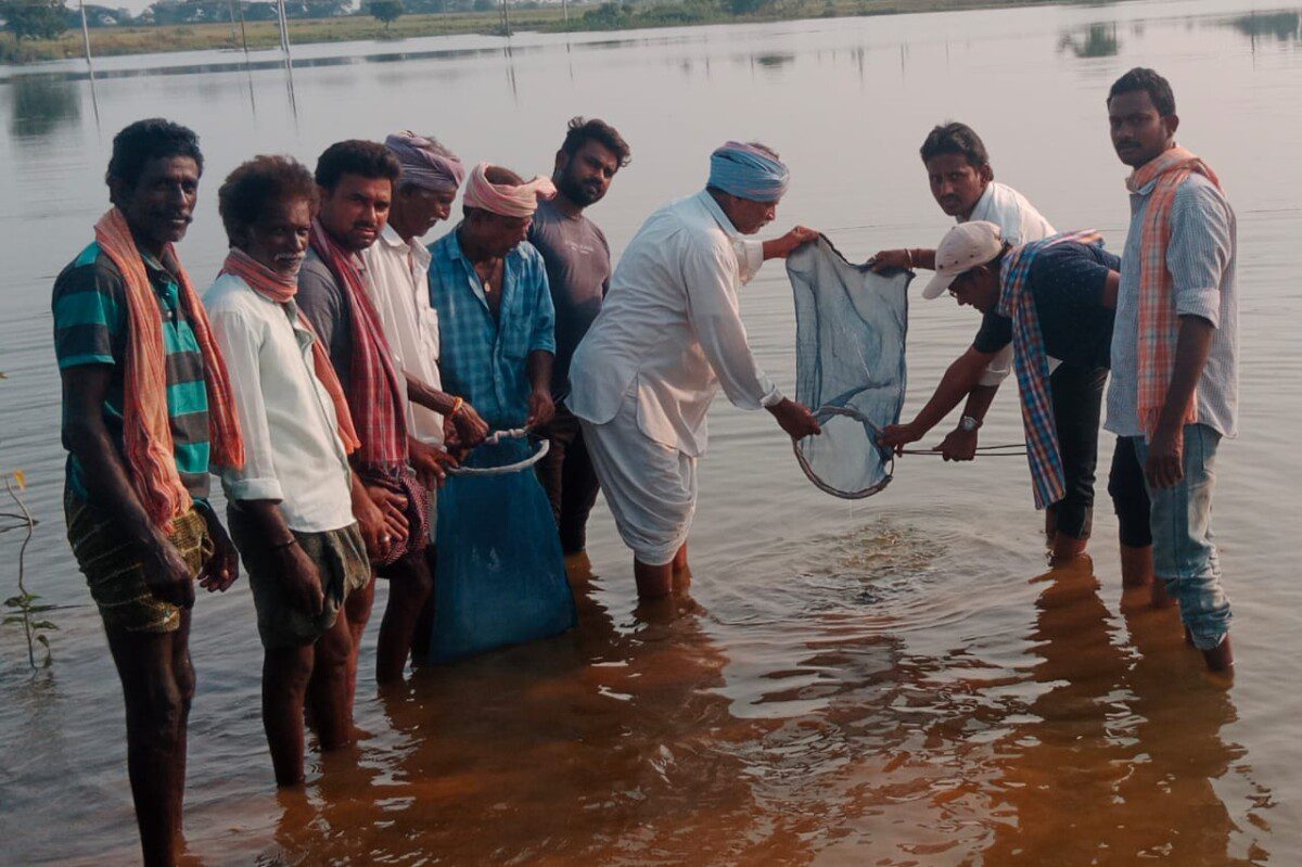 రాష్ట్ర ప్రభుత్వం సాకారంతో ఉచిత చేప పిల్లలు పంపిణీ