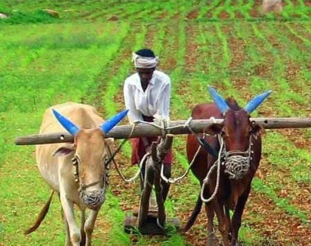 ఫసల్ బీమా యోజన సాయం పెంచిన కేంద్ర, రాష్ట్ర ప్రభుత్వాలు