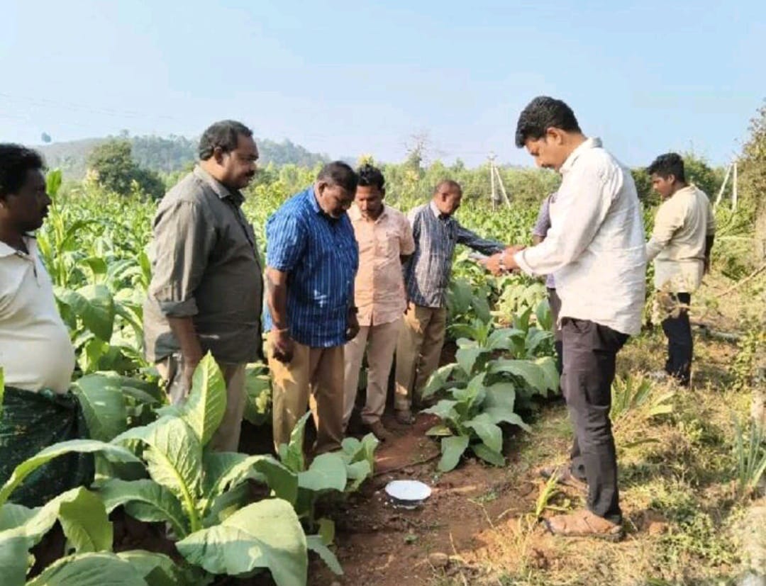 ఏలూరు: పులిని చూస్తే ఇలా చేయండి