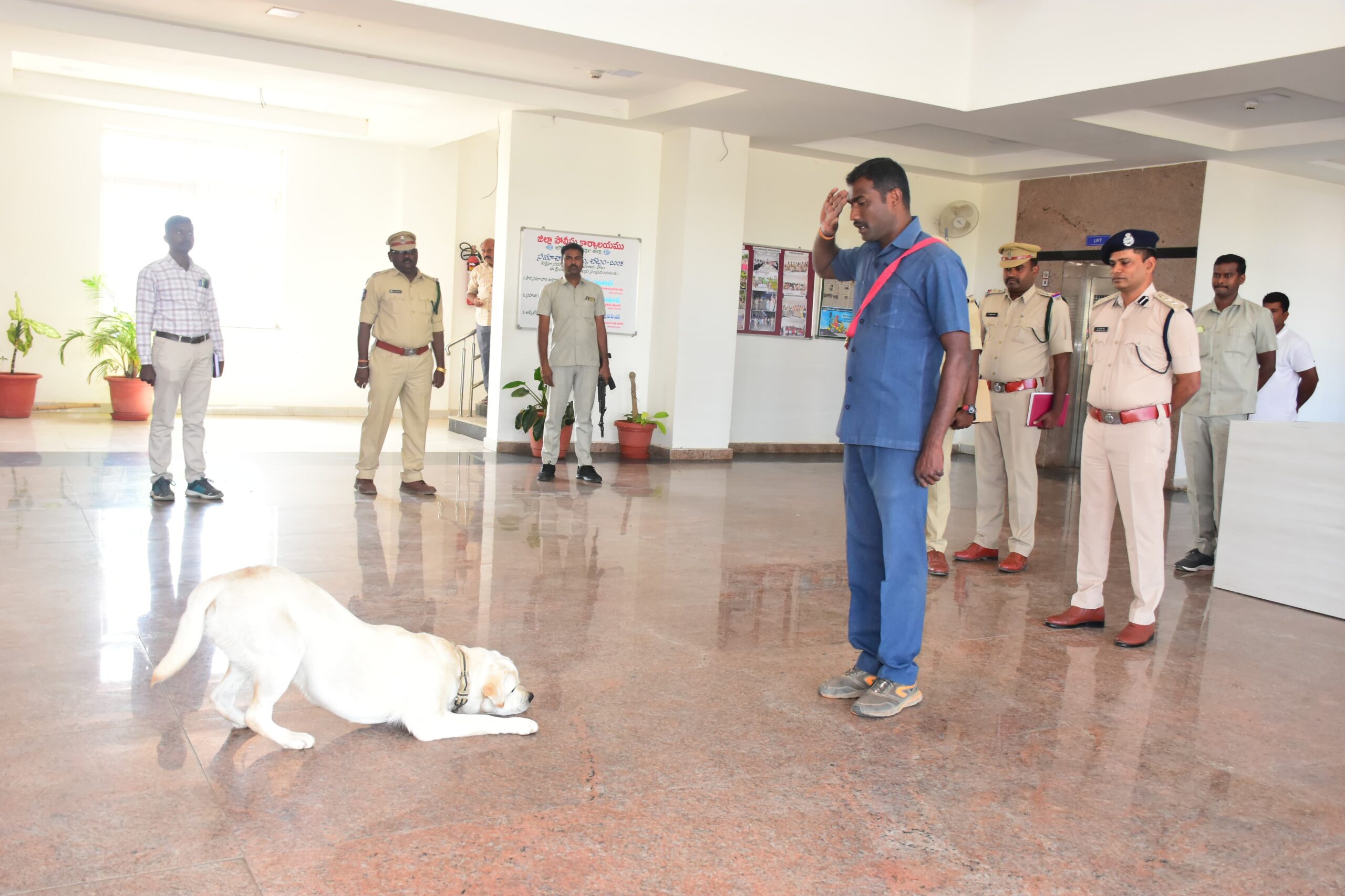 గద్వాల పోలీస్ విభాగానికి చేరిన ట్రెయిన్డ్ జాగిలం ‘ఆర్య’.