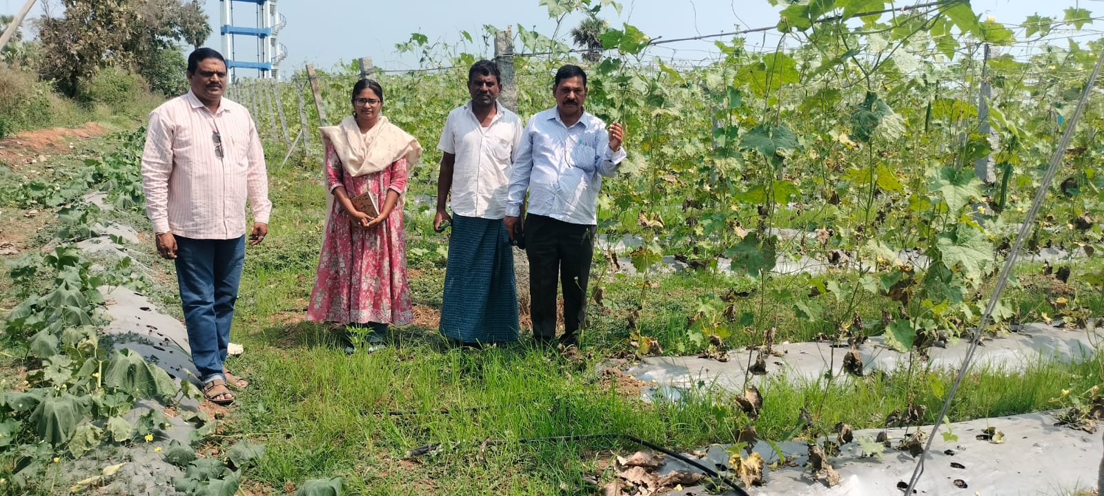 ఉద్యాన పంటల సాగుతో అధిక ఆదాయం..జిల్లా ఉద్యాన అధికారి తీగల నాగయ్య