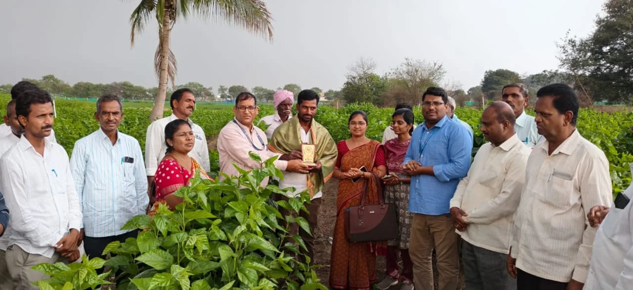 చందిప్ప ఉత్తమ పట్టు రైతు దోసాడ శేఖర్ రెడ్డికి జిల్లా అవార్డు