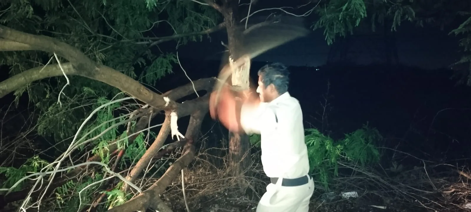 అకాల వర్షం ప్రభావం, రోడ్లపై కూలిన చెట్లు తొలగించిన పోలీసులు…