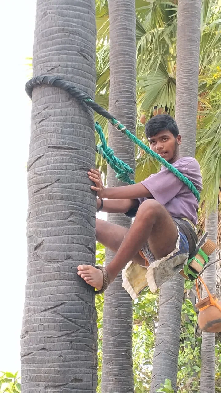 చదువుతో పాటు కులవృత్తికి గౌరవం.. తాటి, ఈత చెట్లు గీస్తూ ఆదర్శంగా నిలుస్తున్న యువ గౌడ్ హేమసుందర్….