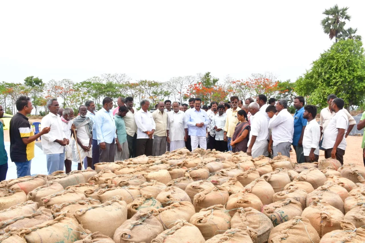 రైతులపై కక్ష సాధింపు తోటే ధాన్యం కొనుగోలు లో ప్రభుత్వ నిర్లక్ష్యం