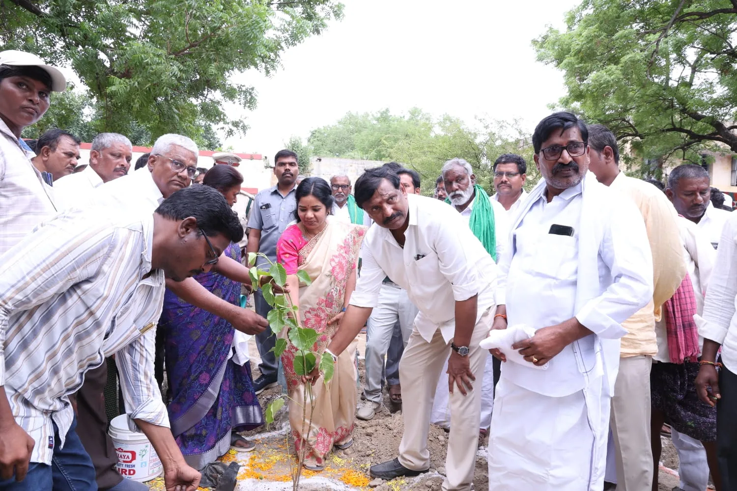 మొక్కలే మానవాళికి మనుగడకు ప్రాణాధారం