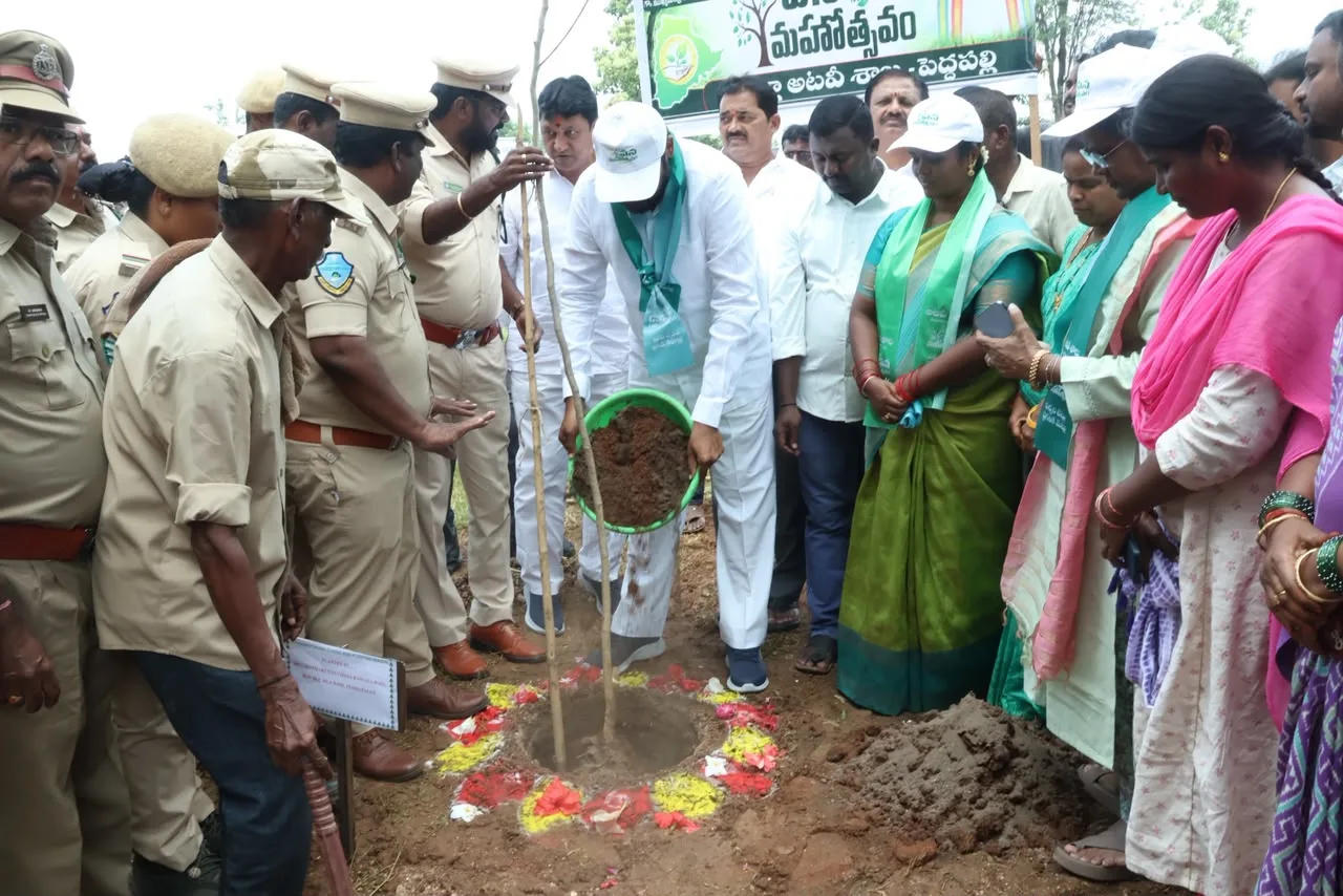 సబ్బితం వాటర్‌ఫాల్స్‌ అభివృద్ధికి చర్యలు.