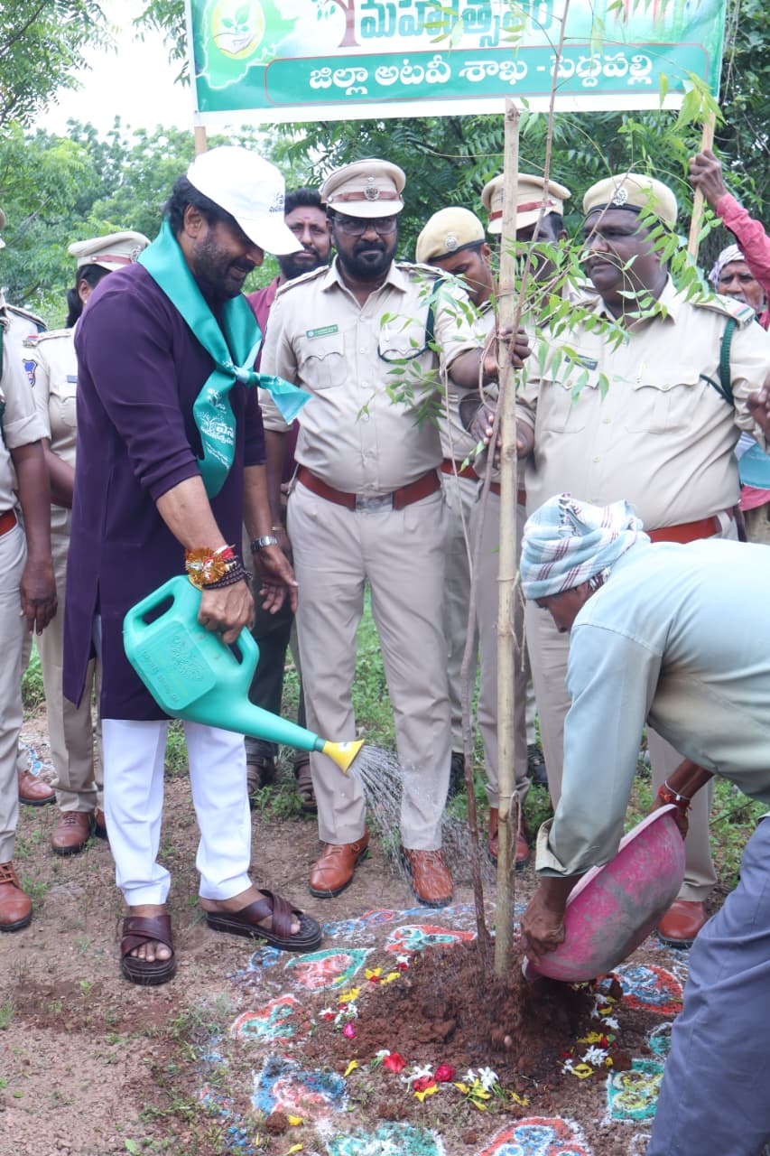 పచ్చదనంతోనే భావితరాలకు ఆరోగ్యకరమైన భవిష్యత్….