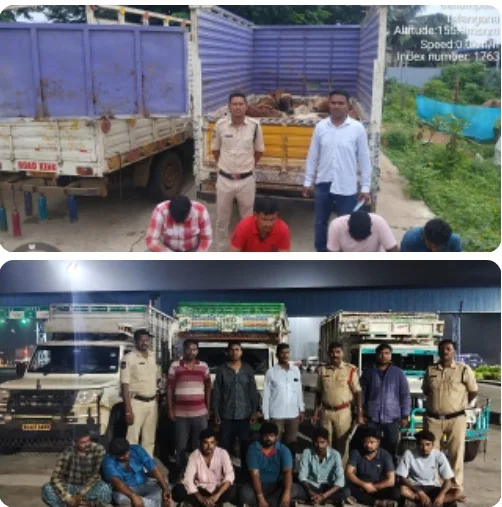 అక్రమ పశువుల తరలింపుపై టాస్క్‌ఫోర్స్ ఉక్కుపాదం….!